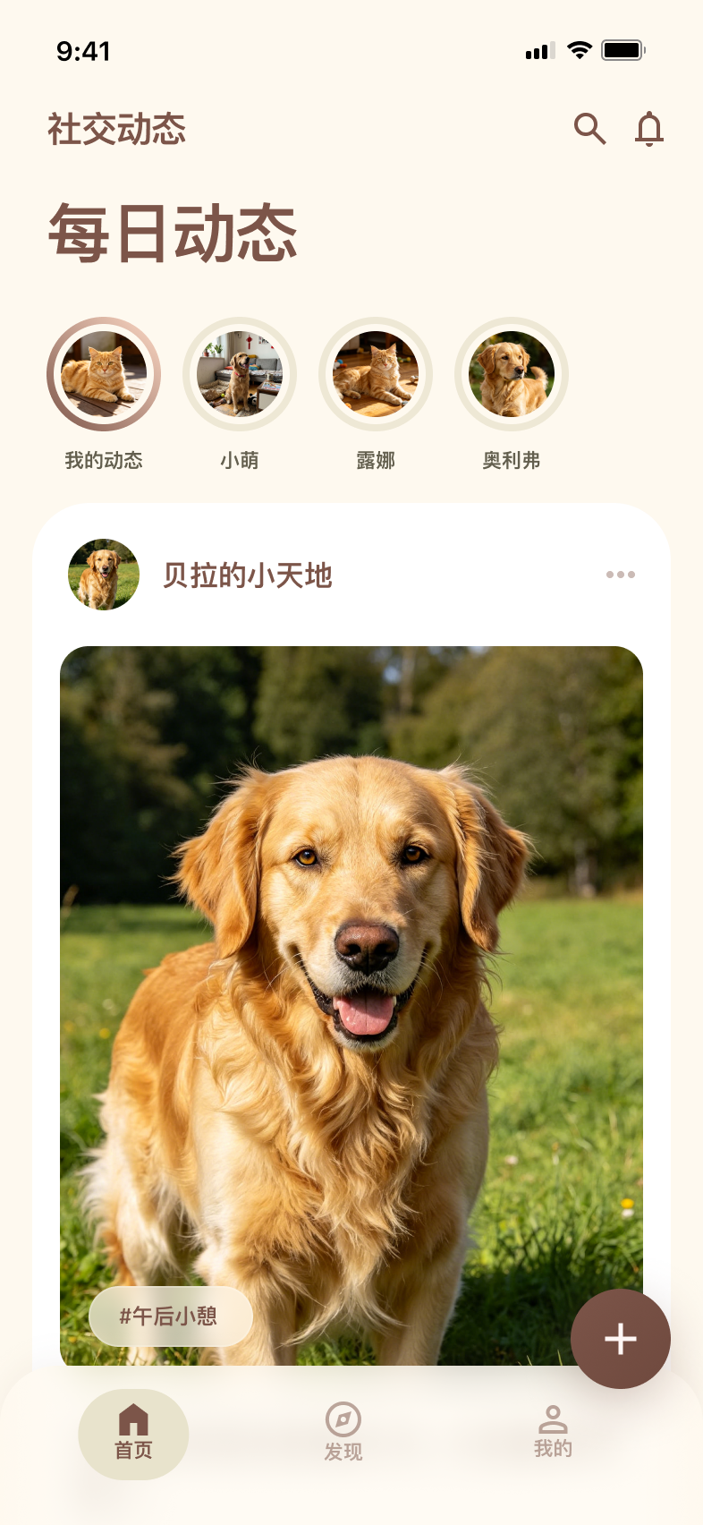 TailTide 首页动态界面
