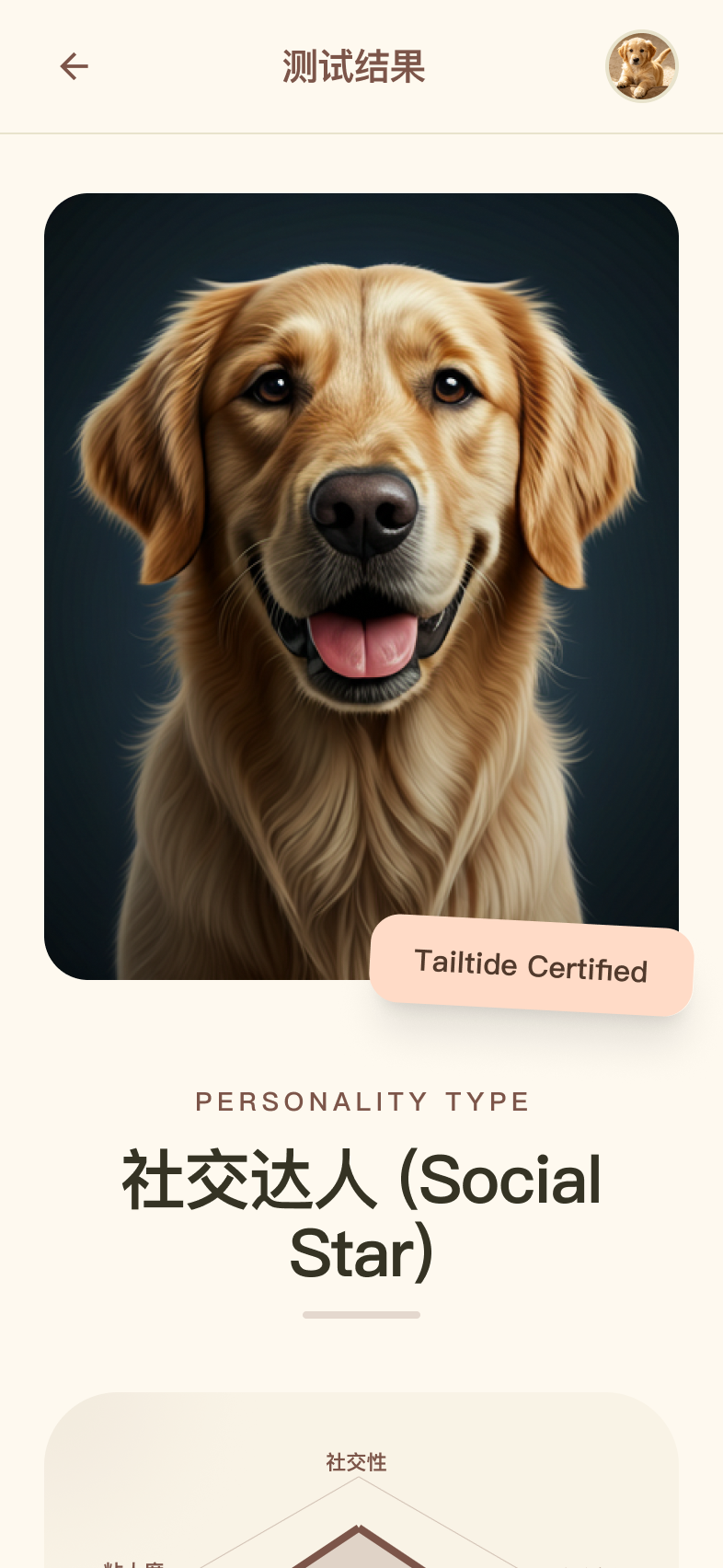 TailTide 性格匹配界面